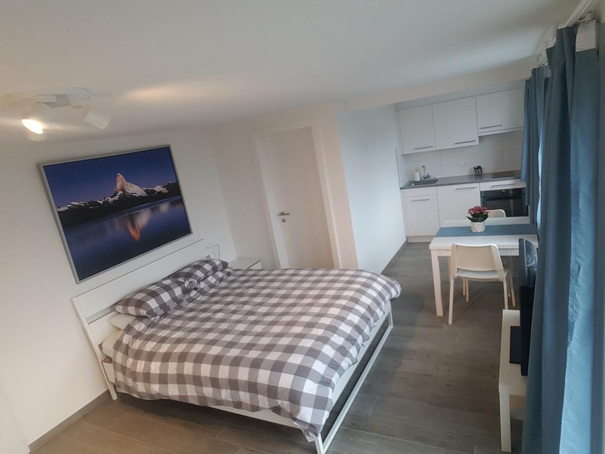 Lake View Private Studio Рихтерсвиль Экстерьер фото