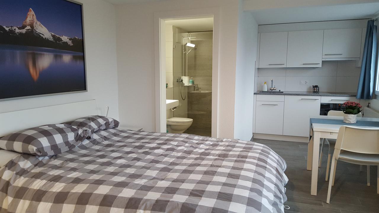 Lake View Private Studio Рихтерсвиль Номер фото