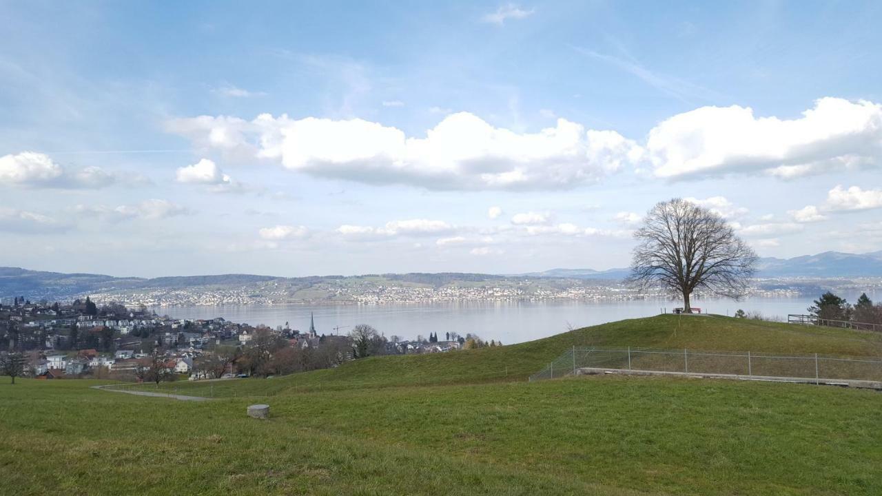 Lake View Private Studio Рихтерсвиль Экстерьер фото